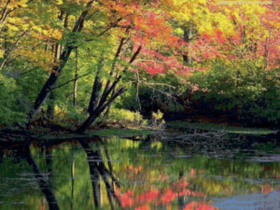 Отражение в реке - река, природа, пейзаж, осень - предпросмотр