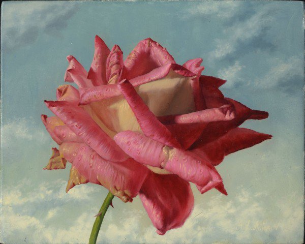 Серия "Соло с розой" - роза, цветы - оригинал