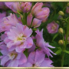 Схема вышивки «№74313»