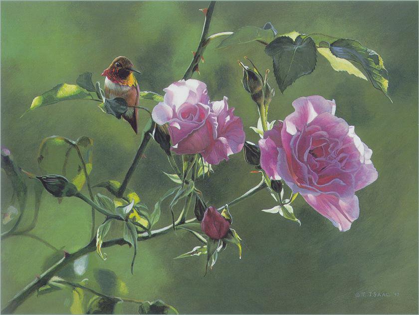 №74348 - цветы, розы, птицы - оригинал