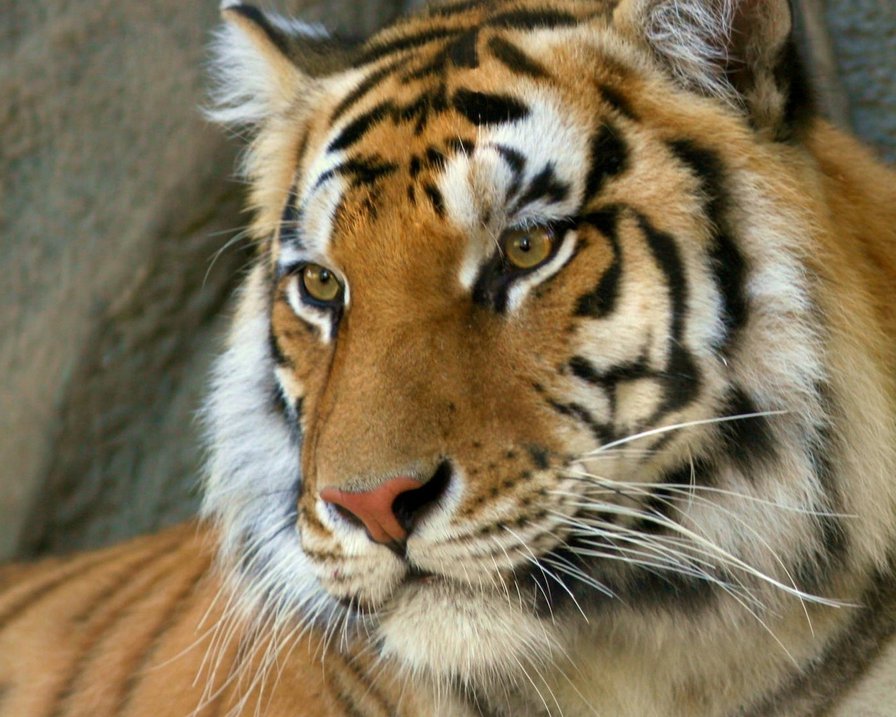 №74361 - оригинал