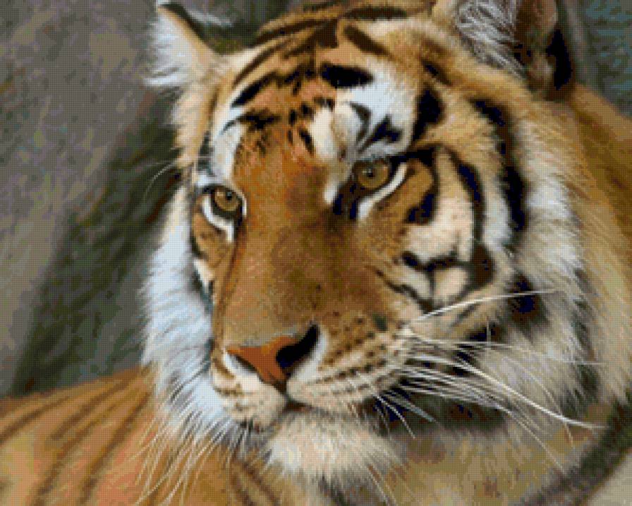 №74361 - предпросмотр