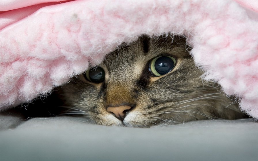 №74392 - оригинал