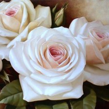 белые розы