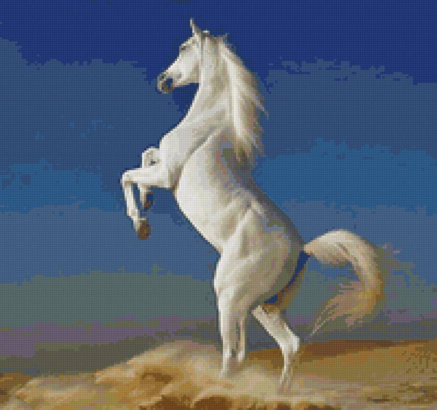 белый конь - предпросмотр