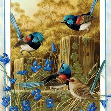 Схема вышивки «птицы»