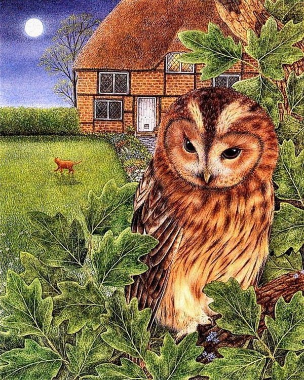 Сова на ветке дуба - дуб, дом, дерево, сова, природа - оригинал