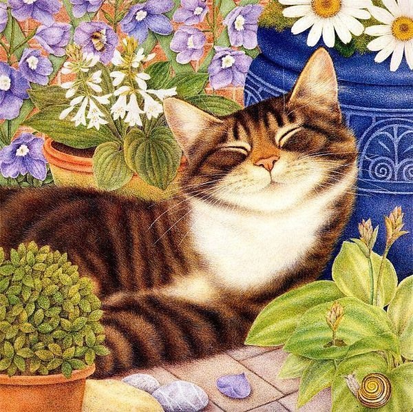 Лежебока - кошка, цветы, животные, сон - оригинал