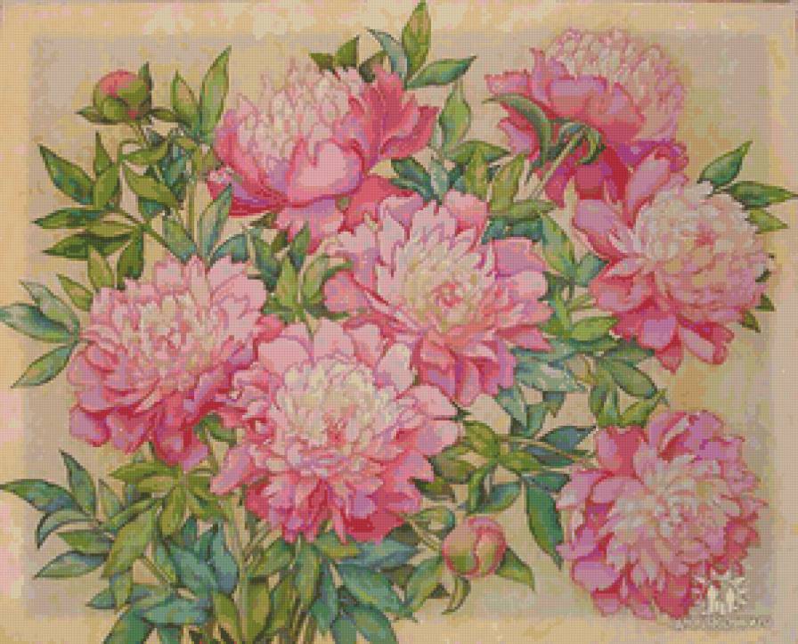 пионы - пионы, живопись, цветы - предпросмотр