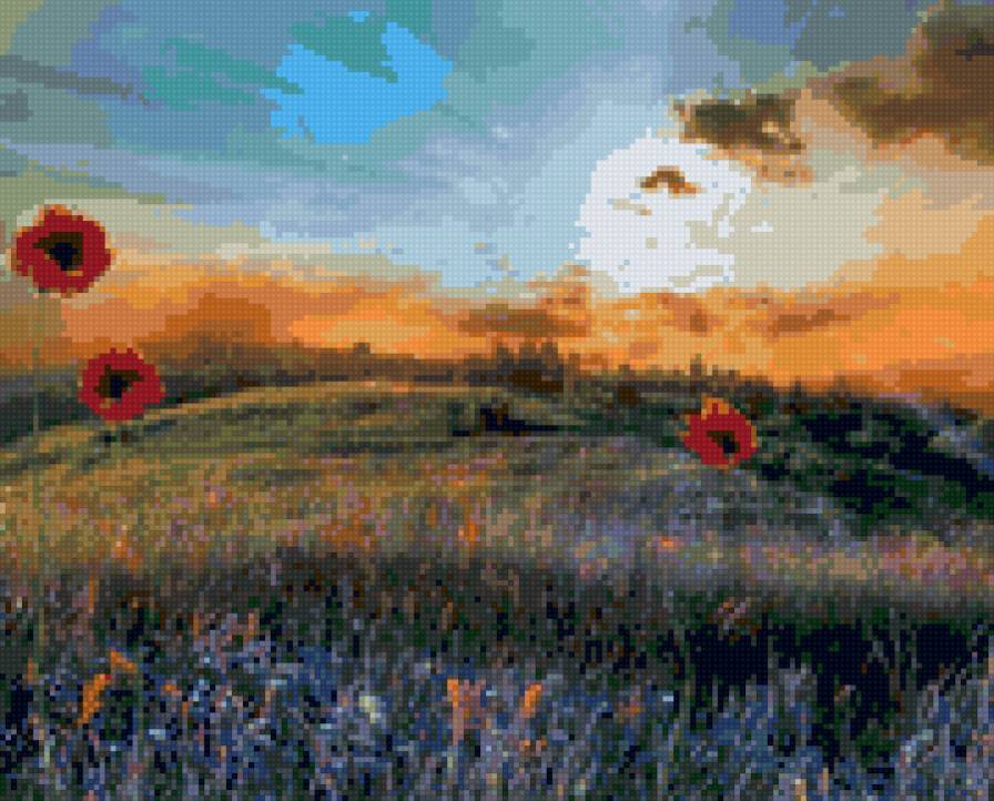 маки на закате - предпросмотр