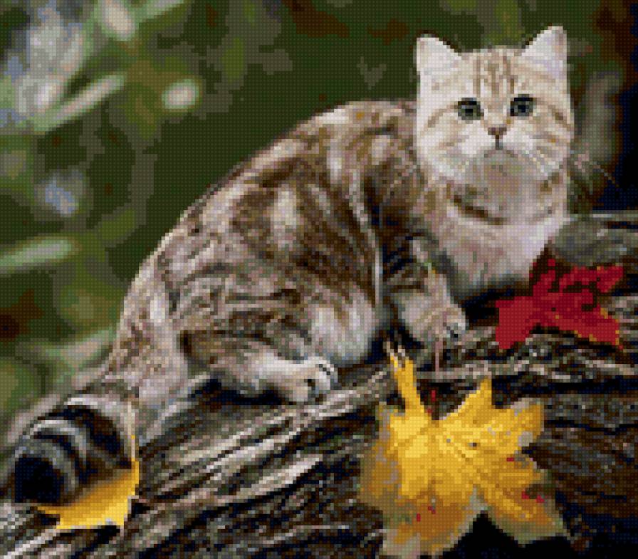 кот - предпросмотр