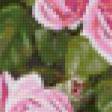 Предпросмотр схемы вышивки «Розовые розы» (№74800)