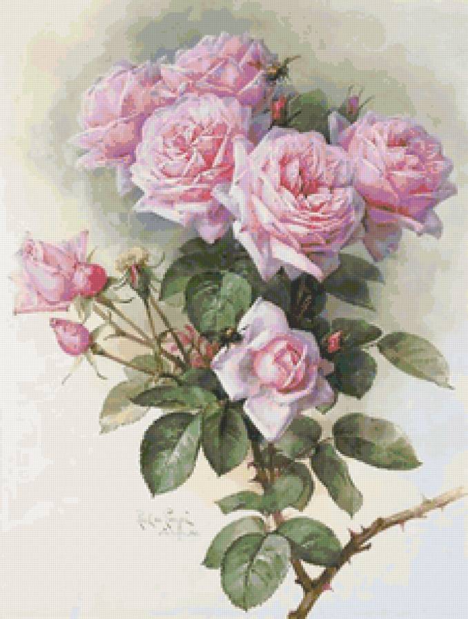 Розовые розы - роза, цветы - предпросмотр