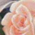 Предпросмотр схемы вышивки «Розы» (№74912)