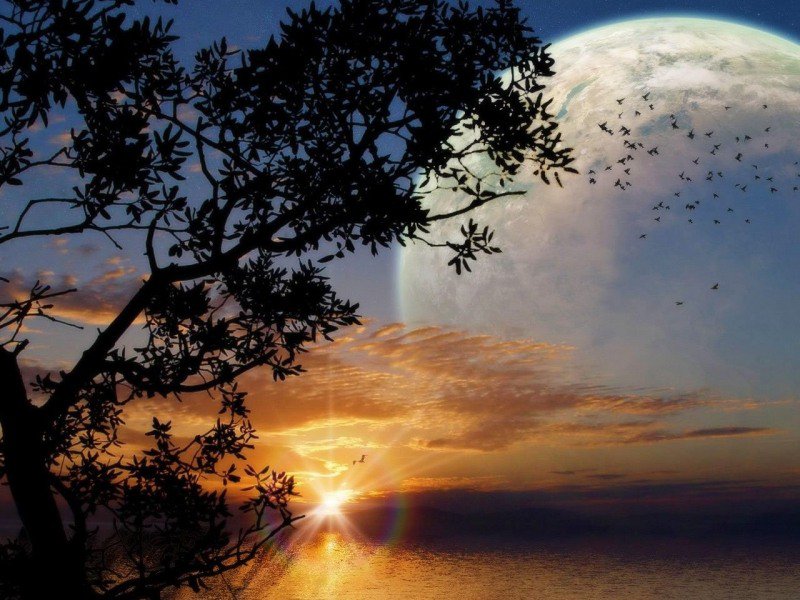 Закатное солнце - небо, природа, пейзаж - оригинал