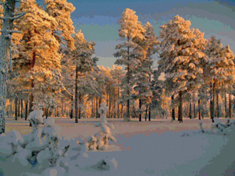 Опушка леса - зима, лес, пейзаж, природа - предпросмотр