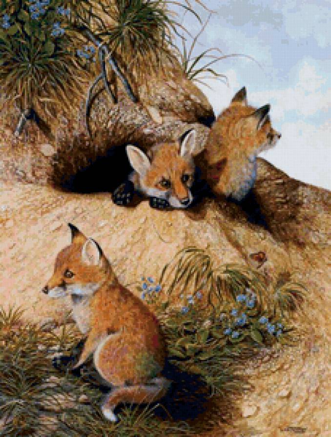 Лисята - лиса, лисенок, животные - предпросмотр