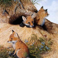 Схема вышивки «Лисята»