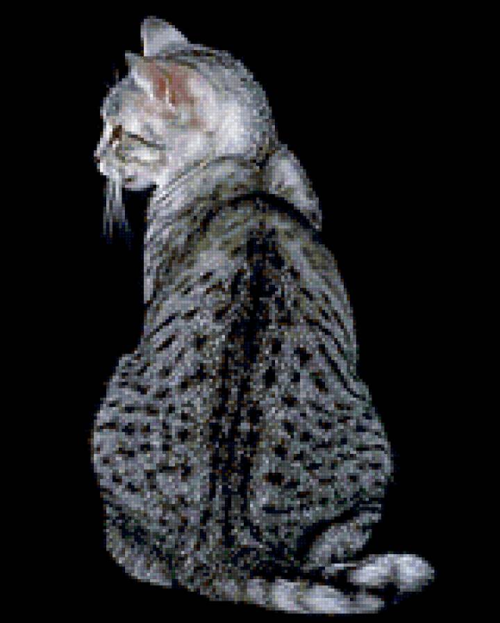 Чёрно-белый Кот - предпросмотр