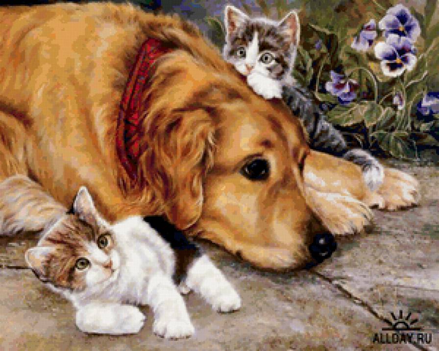 Большой и маленькие - животные, кошка, собака - предпросмотр