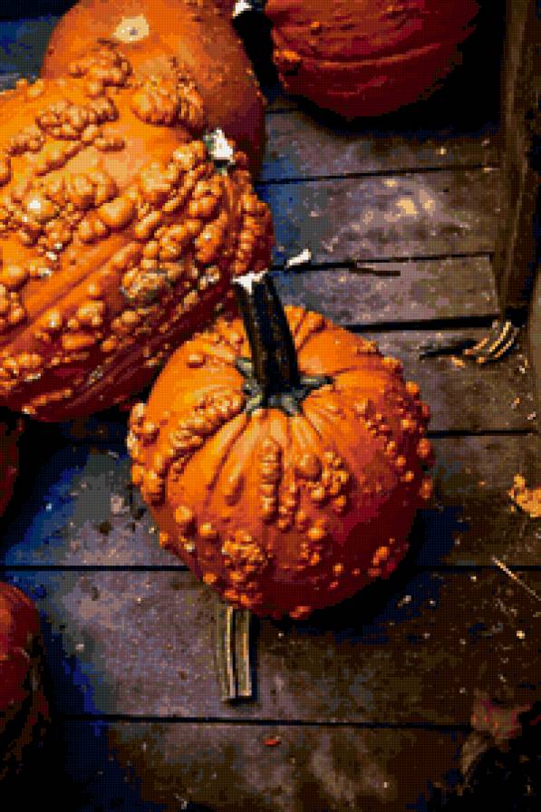 №75371 - натюрморт, картина, осень - предпросмотр