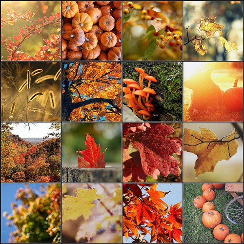 №75506 - подушка, картина, осень - оригинал