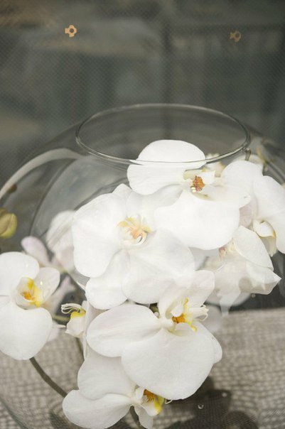 №75507 - картина, цветы - оригинал