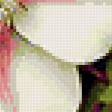 Предпросмотр схемы вышивки «цветы» (№75601)