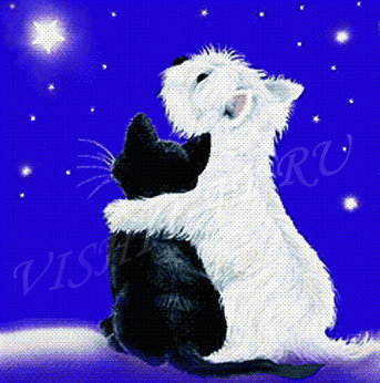 Загадай желание - кошка, ночь, животные, звезды, небо, собака - оригинал