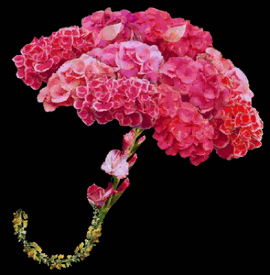 букет-зонтик - цветы - предпросмотр