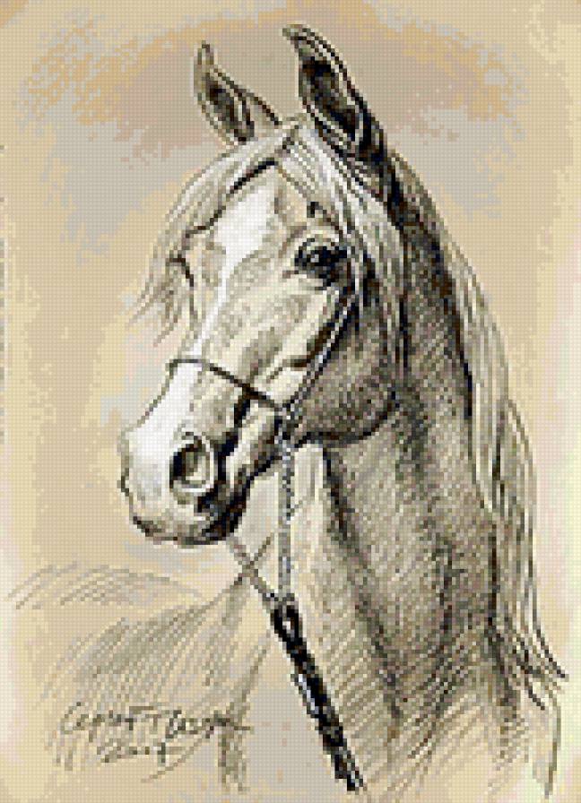 Белый конь - животные, лошади, кони - предпросмотр