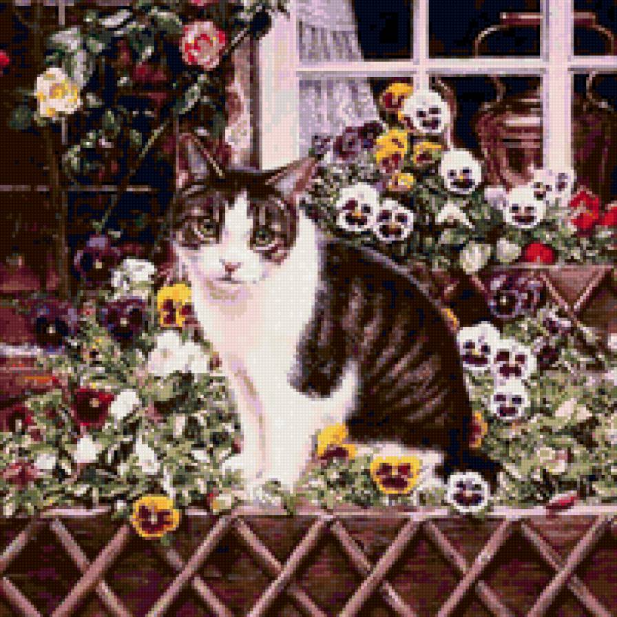 Кошка Деби-Кук - предпросмотр