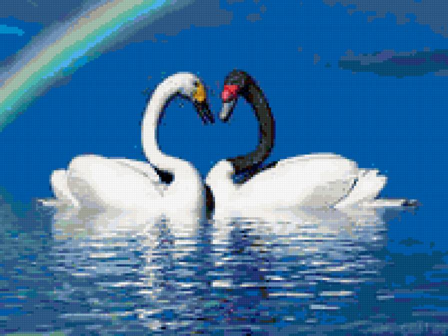 любовь - сердце, любовь, лебеди - предпросмотр