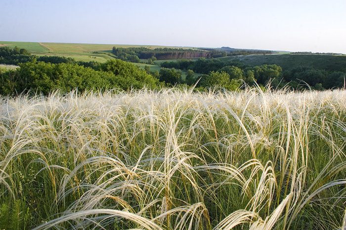 №76206 - оригинал