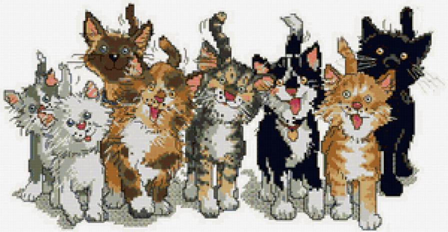 котята - кот, друзья, котенок, кошка, животные, для детей - предпросмотр