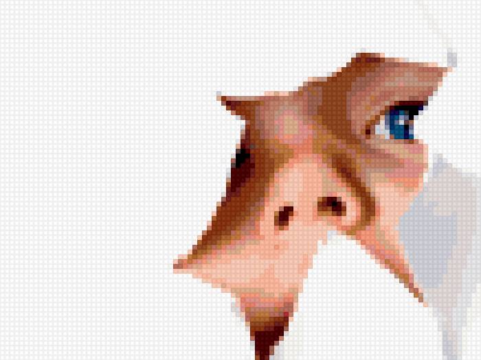 подглядываем - дети - предпросмотр