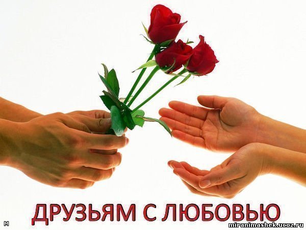 дружба - разное, цветы - оригинал