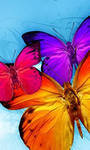 Схема вышивки «бабочки красавицы»