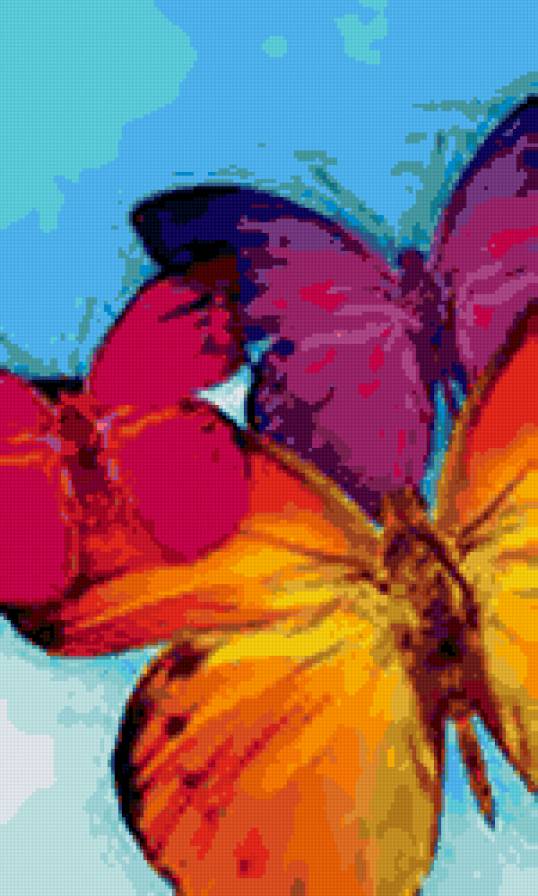 бабочки красавицы - бабочки - предпросмотр