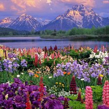 Схема вышивки «№76313»