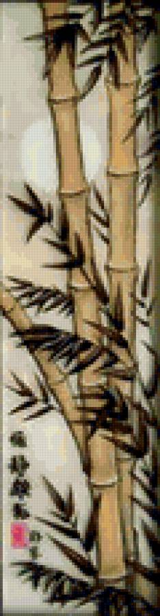 Бамбук - предпросмотр