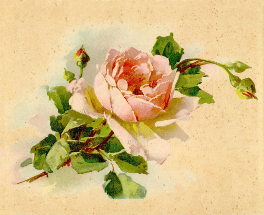 №76571 - оригинал