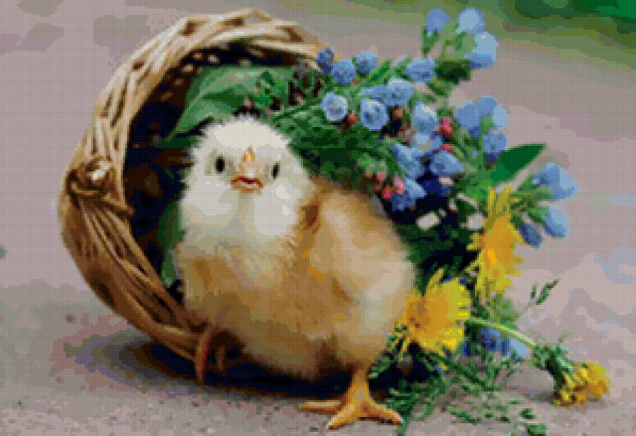 цыпленочек - птицы, цветы, цыпленок - предпросмотр