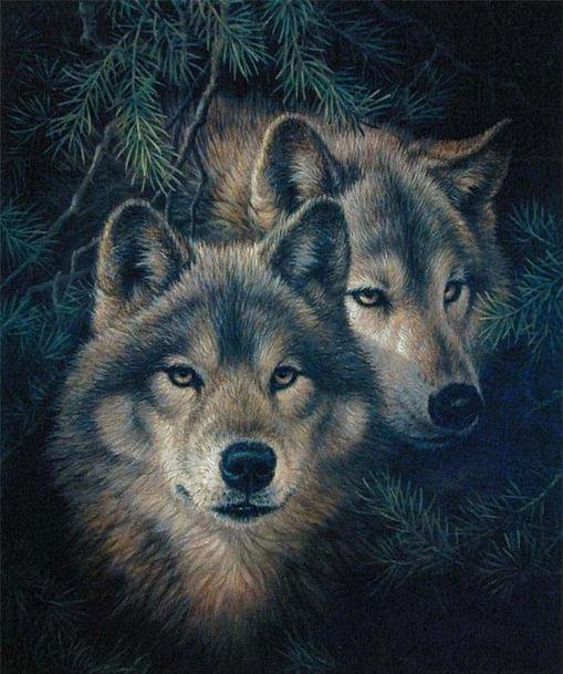 волки - оригинал