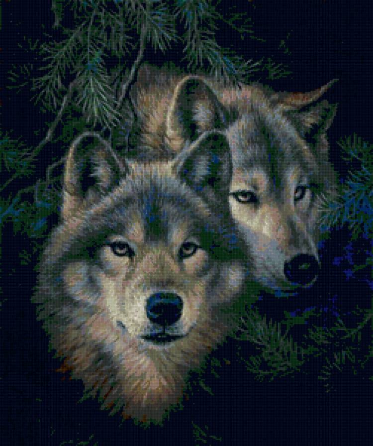 волки - предпросмотр