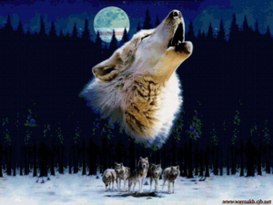 волки - волки - предпросмотр