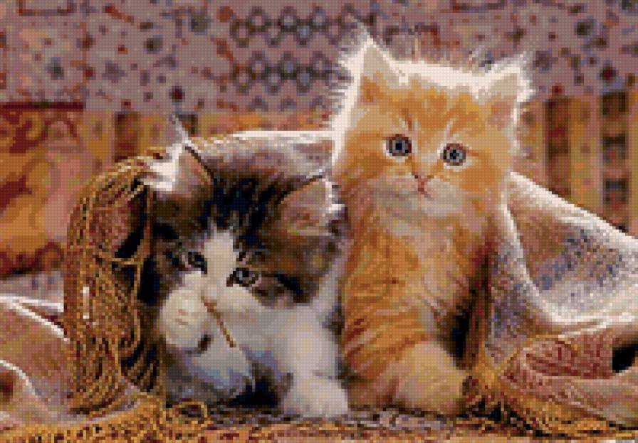 Котята - предпросмотр