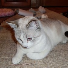 Схема вышивки «кузя 2»