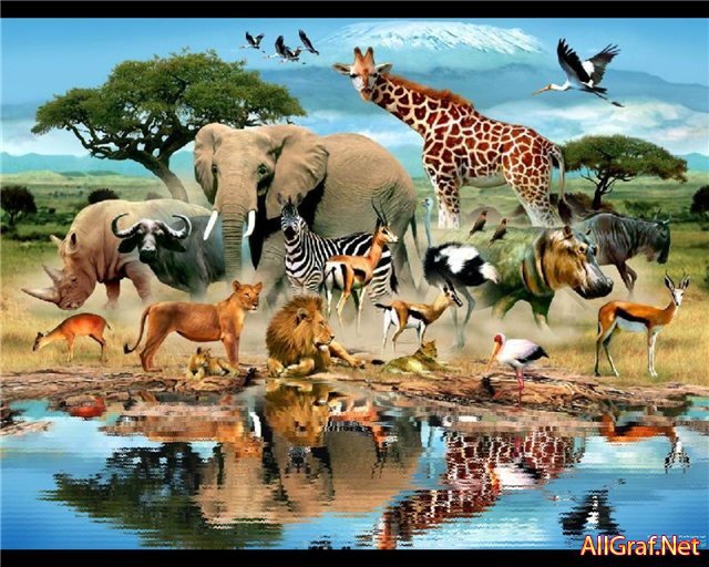 фауна африки - животные - оригинал
