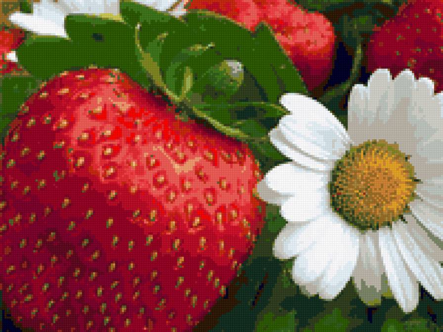 №77141 - ромашки, клубника, цветы, ягоды - предпросмотр